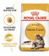 Royal canin gatto adult maine coon 2 kg