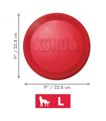 Kong flyer large