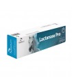 Equality lactanase pro pasta siringa 50 gr