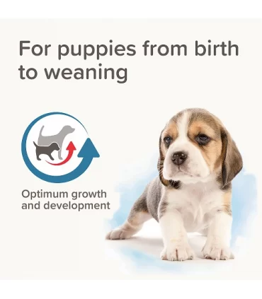 Beaphar lactol puppy milk 500 gr