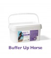 Nbf Lanes buffer up horse polvere appetibile 20 buste 30 gr