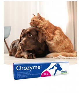 Ecuphar orozyme gel orale 70 gr