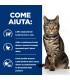 Hill's Prescription Diet gatto metabolic bustina pesce oceanico 85 gr