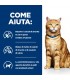 Hill's Prescription Diet gatto c/d multicare bustina salmone 85 gr