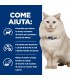 Hill's Prescription Diet gatto c/d multicare stress bustina pollo 85 gr
