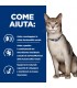 Hill's Prescription Diet gatto k/d bustina manzo 85 gr