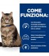 Hill's Prescription Diet gatto gastrointestinal biome bustina pollo 85 gr