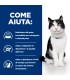 Hill's Prescription Diet gatto i/d bustina salmone 85 gr