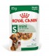 Royal canin cane mini bustina 85 gr