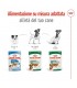 Royal canin cane mini bustina 85 gr