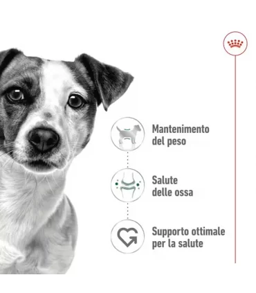Royal canin cane mini bustina 85 gr