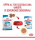 Royal canin puppy mini bustina 85 gr