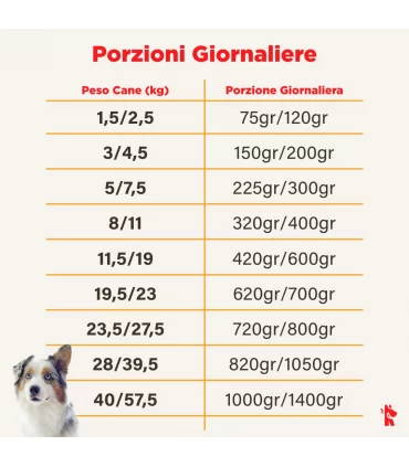 Real Bowl cane grain free manzo 7 bustine 150 gr