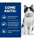 Hill's Prescription Diet gatto Metabolic + Mobility 3 kg