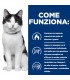 Hill's Prescription Diet gatto Metabolic + Mobility 3 kg