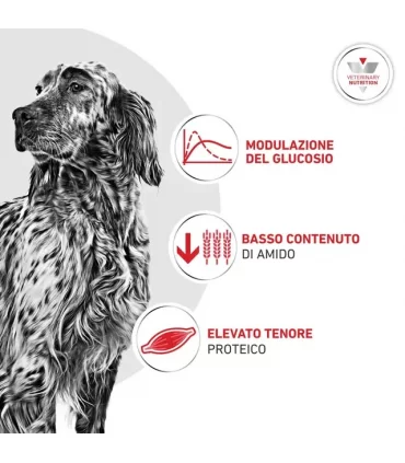 Royal canin cane glycobalance cane 7 kg