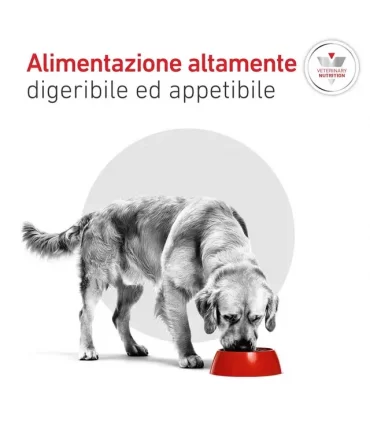 Royal canin cane glycobalance 7 kg