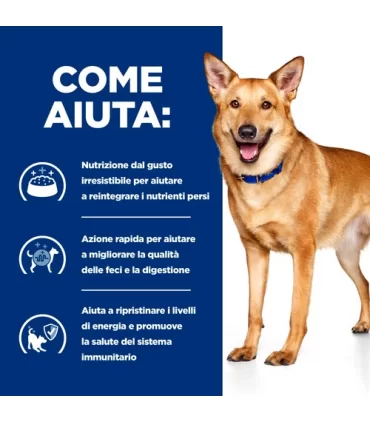 Hill's Prescription Diet cane digestive care i/d con pollo 10 kg