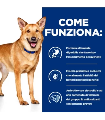 Hill's Prescription Diet cane digestive care i/d con pollo 10 kg