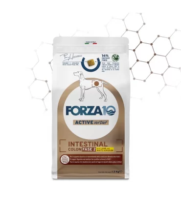 Forza 10 cane intestinal colon Fase 2 agnello e sorgo bianco 1,5 kg