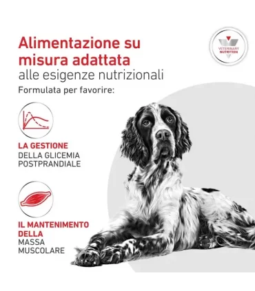 Royal canin cane glycobalance cane 410 gr