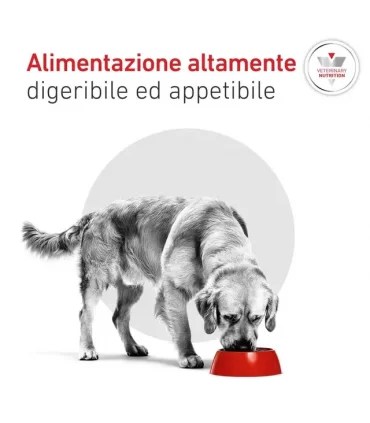 Royal canin cane glycobalance 410 gr
