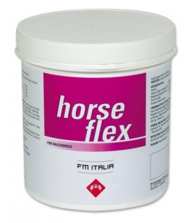 Fm italia horse flex 600 gr