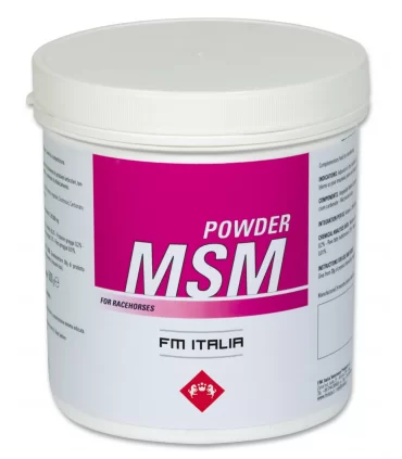 Fm italia powder msm 600 gr