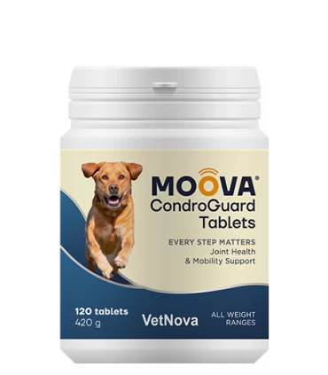 VetNova moova condroguard cane 120 tavolette 420 gr