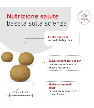 Royal canin cane small glycobalance 4 kg