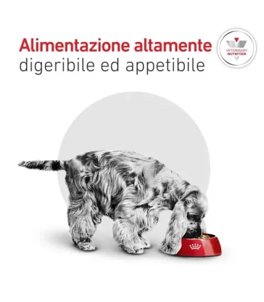 Royal canin cane small glycobalance 4 kg