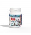 Bioequipe condro360b pasta 100 compresse