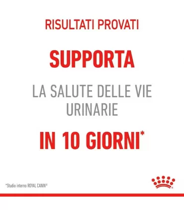 Royal canin gatto urinary care 2 kg
