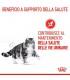 Royal canin gatto urinary care 2 kg