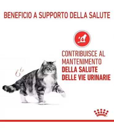 Royal canin gatto urinary care 2 kg