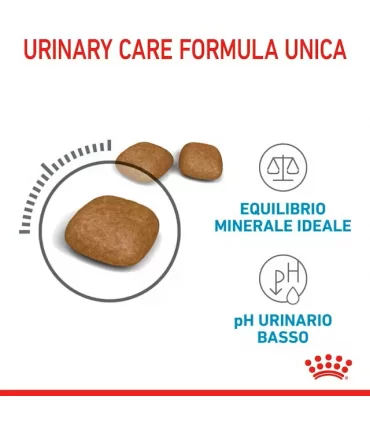 Royal canin gatto urinary care 2 kg