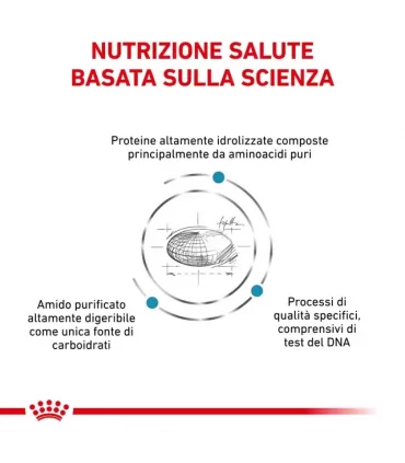 Royal Canin Anallergenic gatto 2 Kg