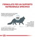 Royal Canin Anallergenic gatto 2 Kg