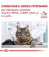 Royal Canin Anallergenic gatto 2 Kg