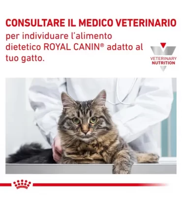 Royal Canin Anallergenic gatto 2 Kg
