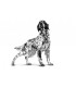 Royal canin anallergenic cane 3 kg