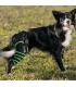 Balto sport agile green zampa sinistra large