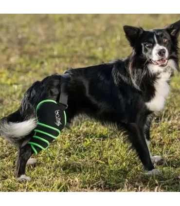 Balto sport agile green zampa sinistra extra large