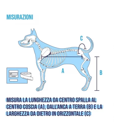 Balto carrellino off-road ortopedico regolabile per cani disabili misura M