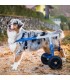 Balto carrellino off-road ortopedico regolabile per cani disabili misura M
