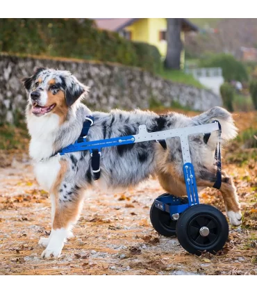 Balto carrellino off-road ortopedico regolabile per cani disabili misura L