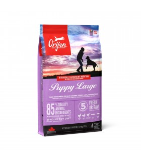 Orijen cane puppy large 11,4 kg