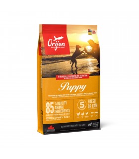 Orijen cane puppy 11,4 kg