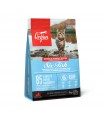 Orijen gatto six fish 5,4 kg