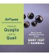 Forza 10 gatto botanicat adult 1-6 anni quaglia bustina 80 gr